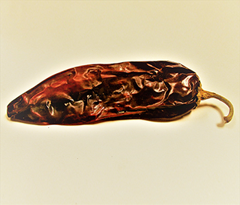 Chile California - Chiles - Hermanos Ramos